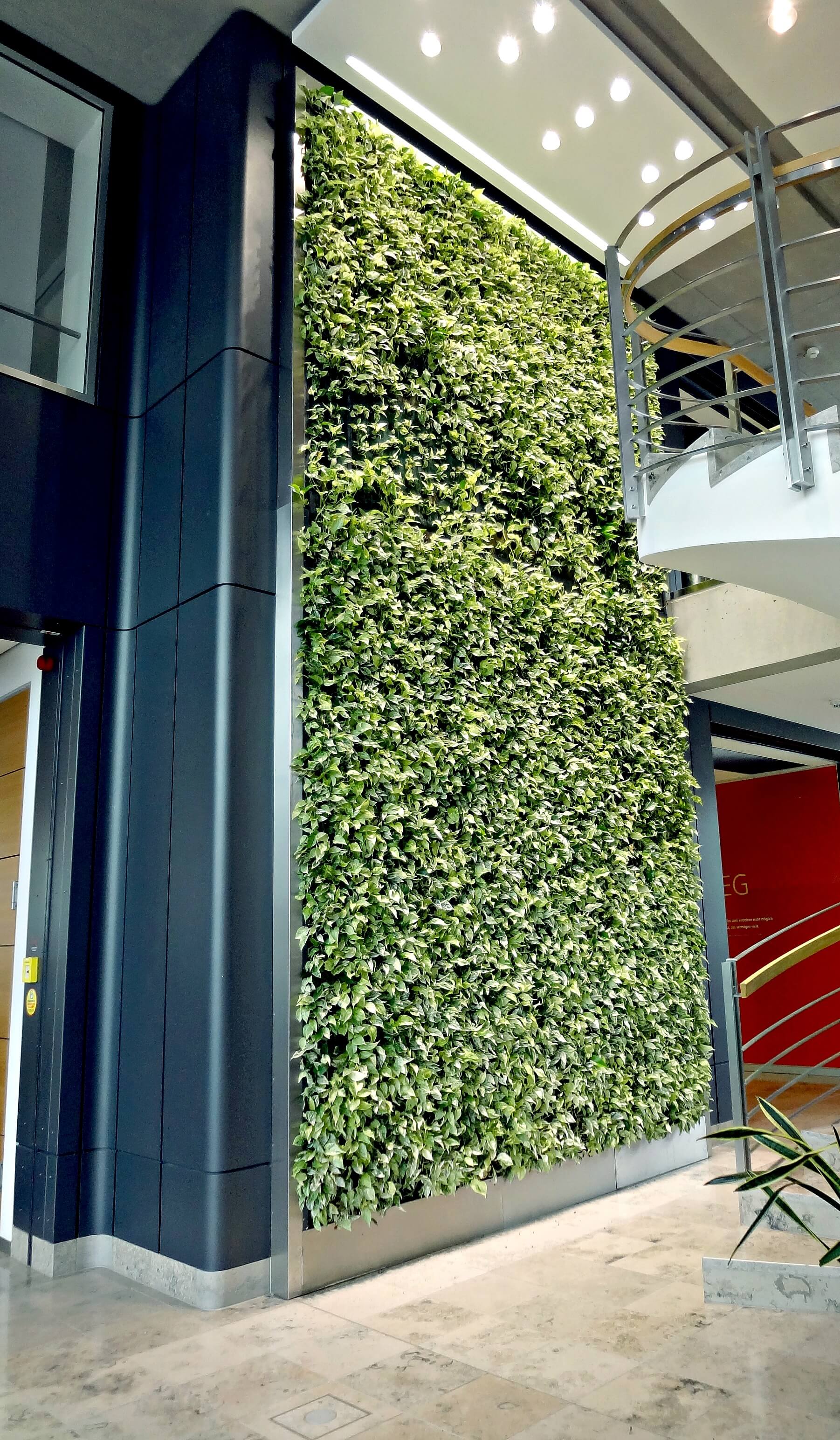 Go Green From the Ground Up: The Latest in Green Wall Technology