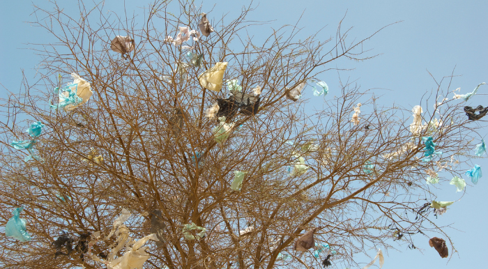 Turning Waste Into a Resource