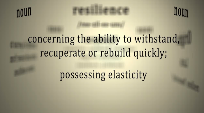 What Resilience Really Looks Like
